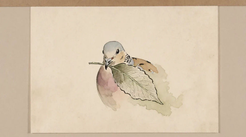 Dove with an olive sprig