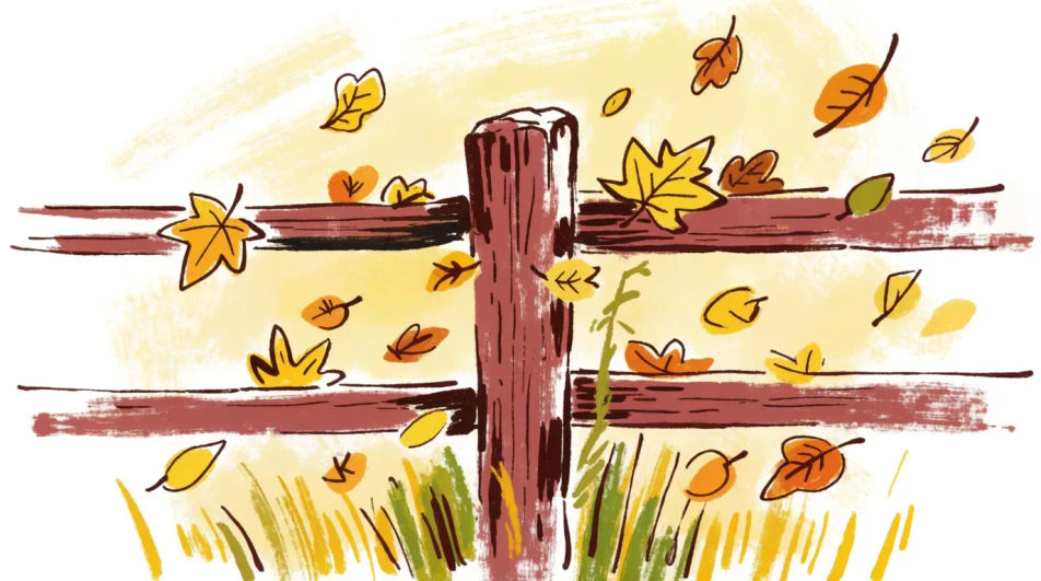 Leaves falling past a fence
