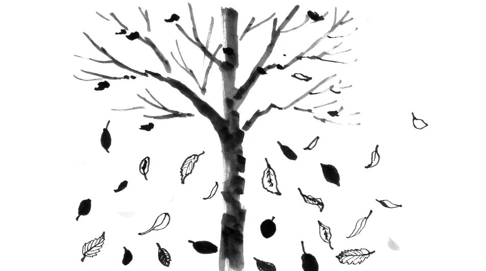 Leaves falling from a branch