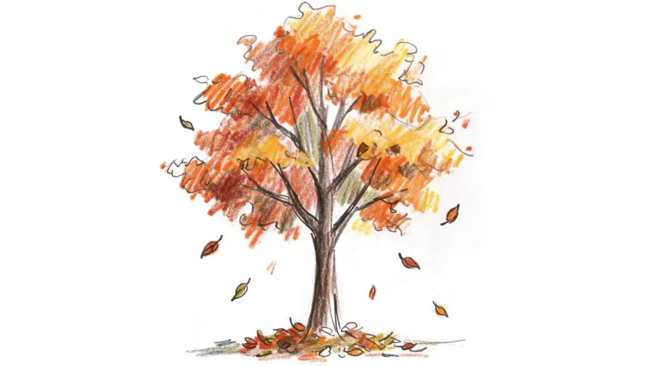 Single tree dropping leaves