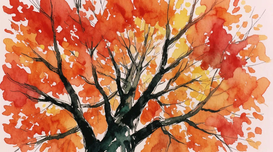 Canopy from below