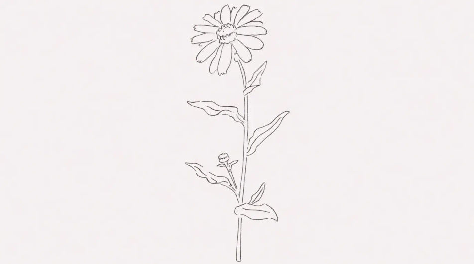 Single stem down a tall page