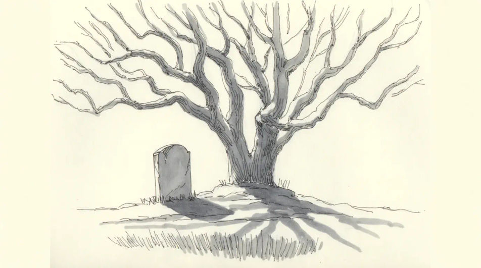 Single grave under a bare tree
