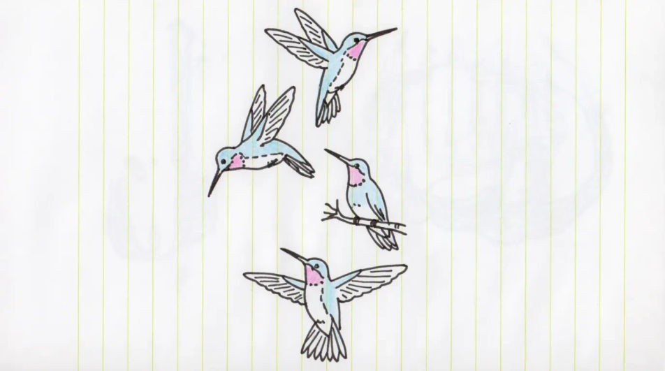 Flight study sheet