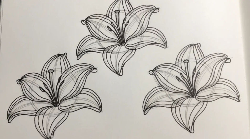 Petal construction study page