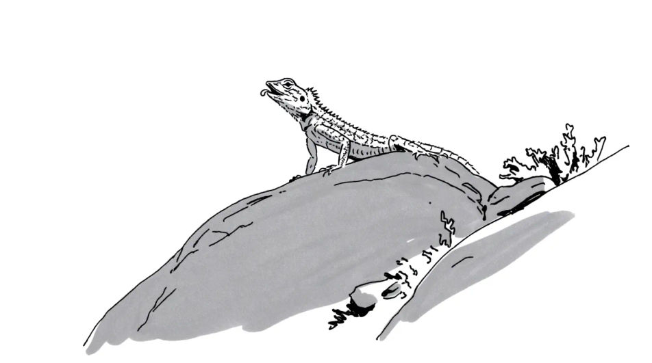 Desert rock in ink and wash