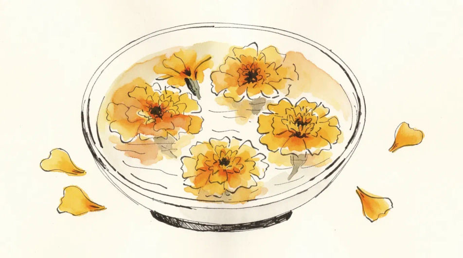 Marigolds in a shallow bowl