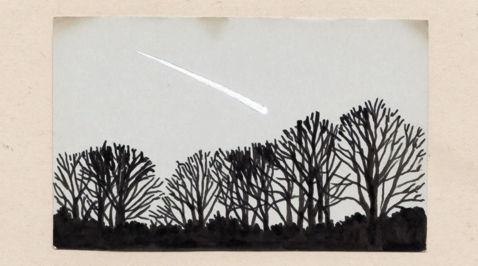 Meteor behind a tree line