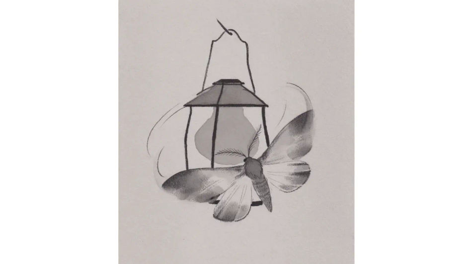 Moth and lantern