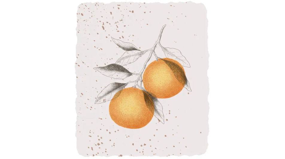 Orange branch in leaf