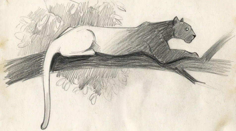 Panther on a branch