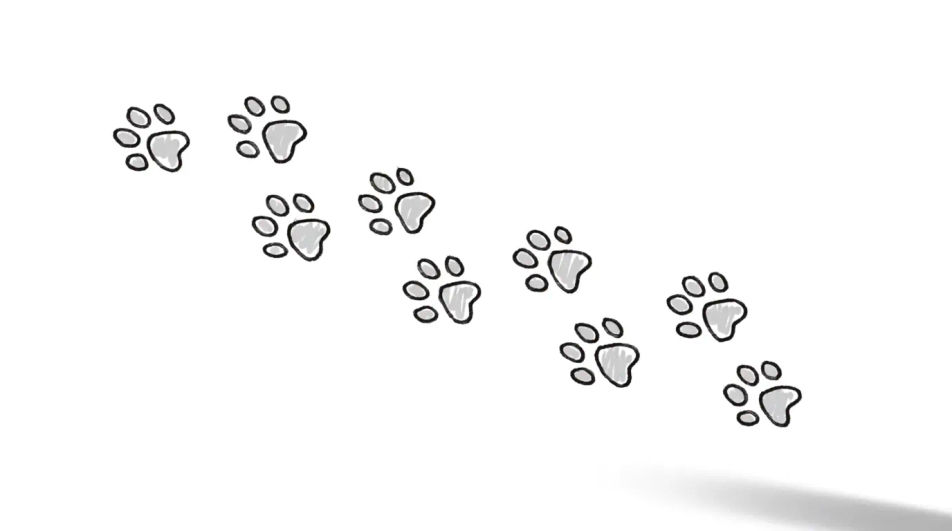 Trail of prints across the page