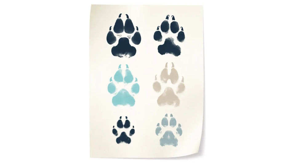 Icon sheet of animal prints