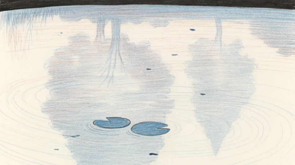 Reflections in still water