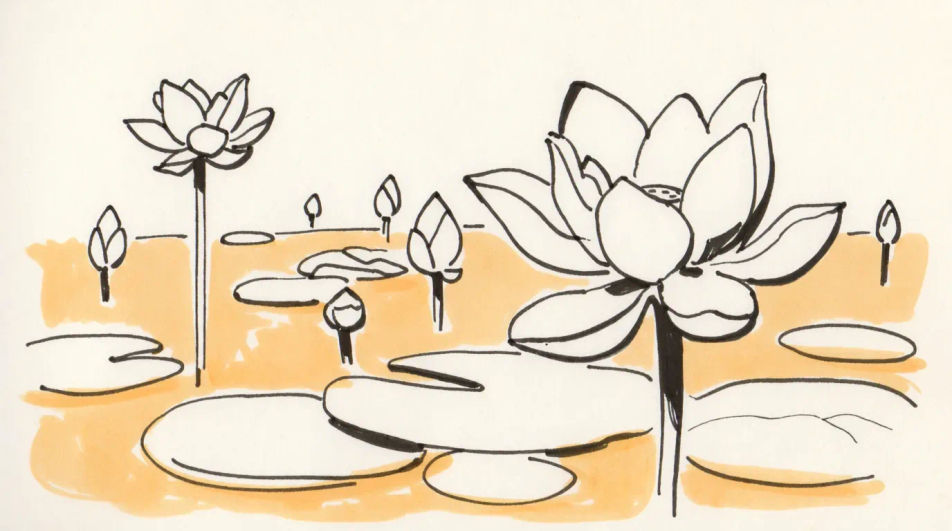 Lotus pond in ink and wash