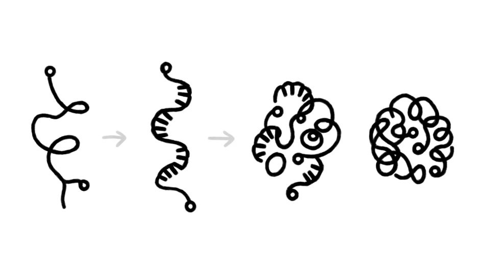 Folding sequence across the page
