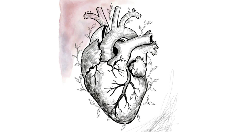 Heart wrapped in fine botanical line