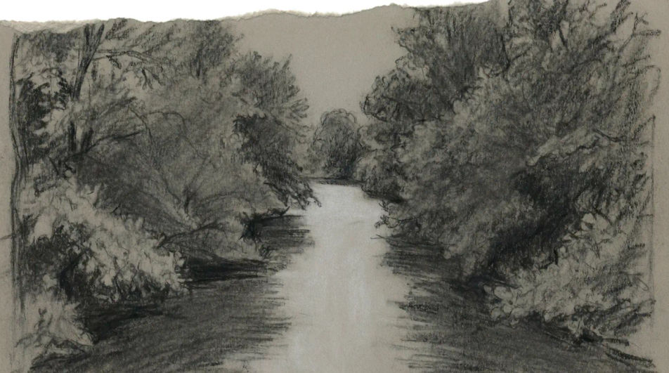 River through a forest