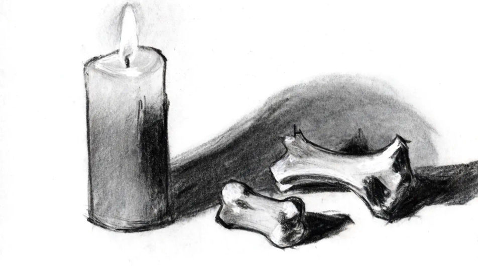 Scattered bones on a table