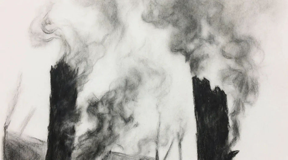 Campfire smoke through trees