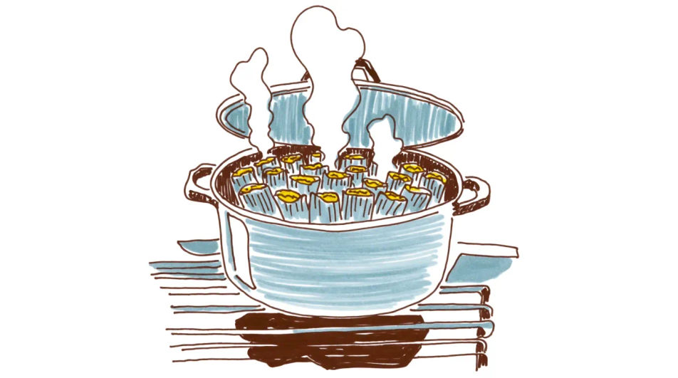 Steaming pot on the stove