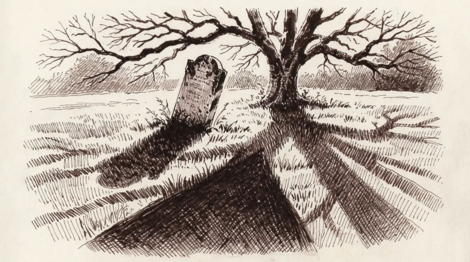 One stone under a bare tree