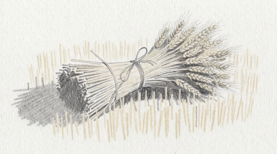 Bound sheaf on the ground