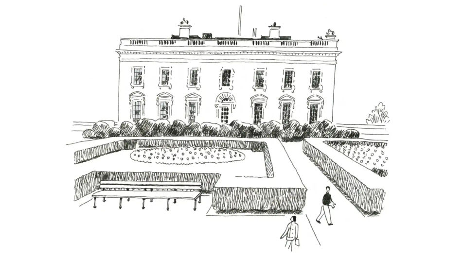 Garden view from the rear