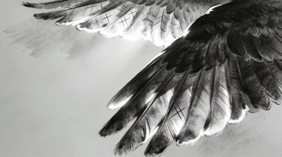 Wing against a bright sky