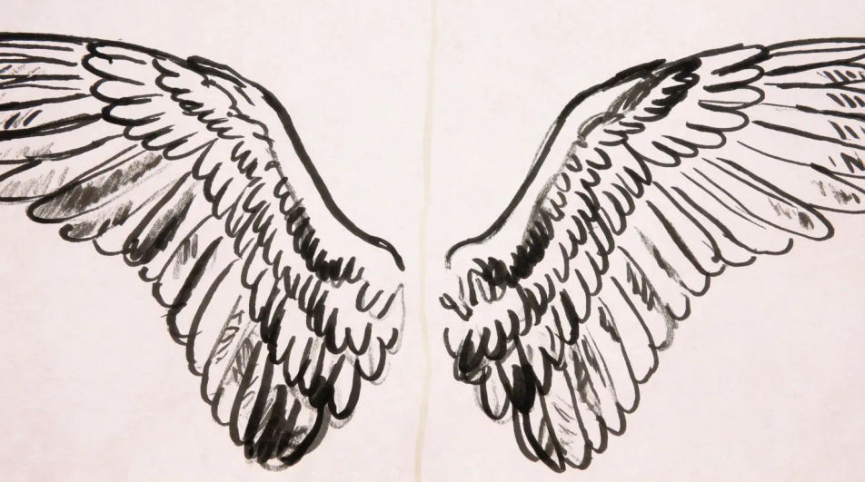 Wings spread across a wide frame