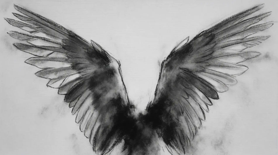 Wings mid-beat from below