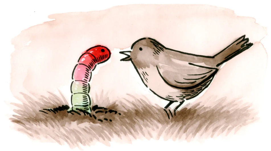Bird and worm standoff