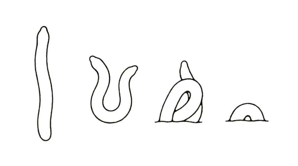 Worm shapes sheet