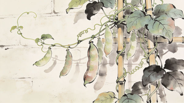 Beans drawing maker