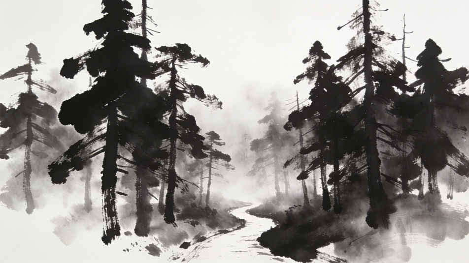 Forest in silhouette