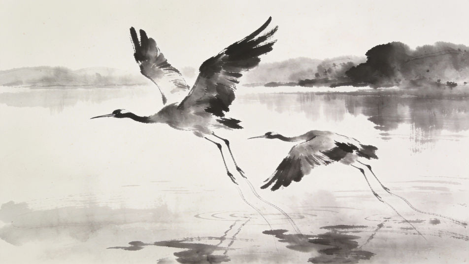 Cranes above a lake
