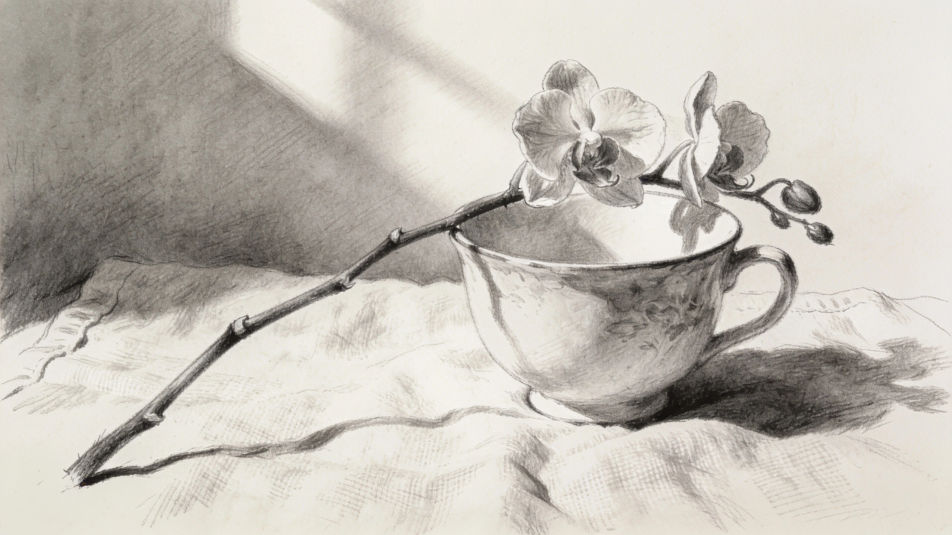 Orchid and teacup still life