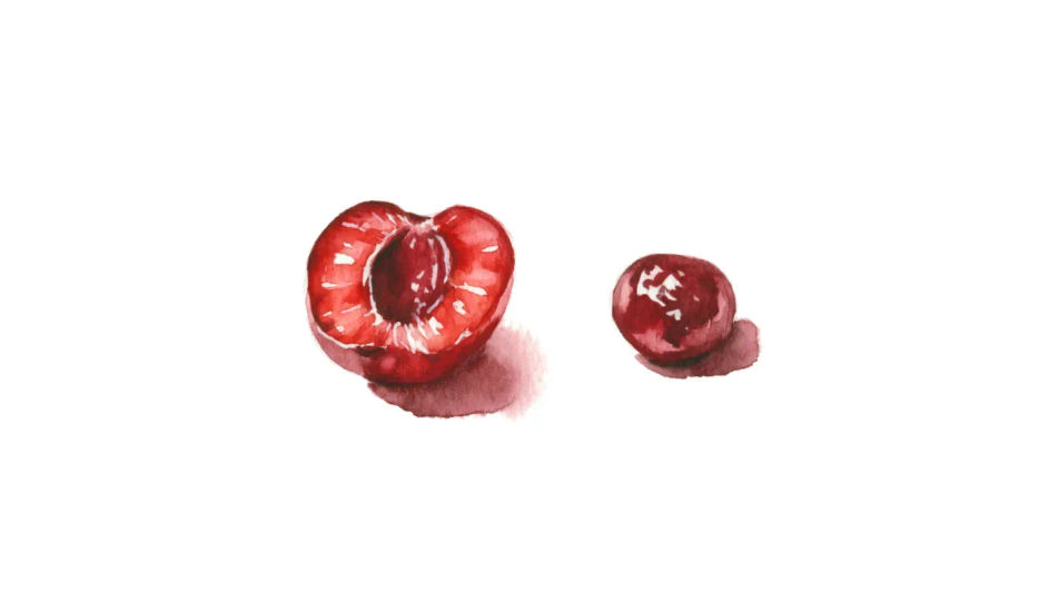 Halved fruit and stone detail