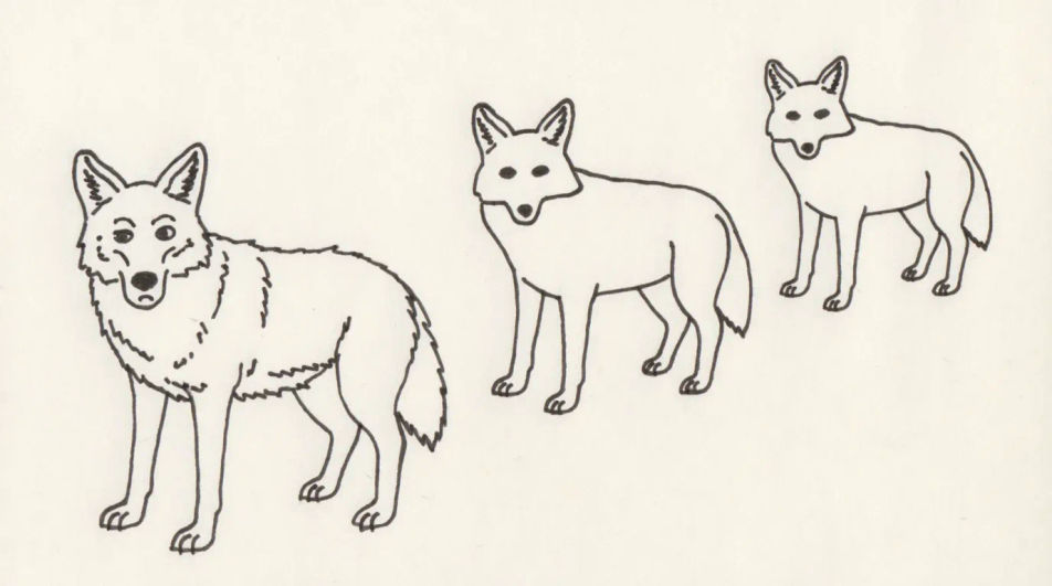 Three coyotes in ink line