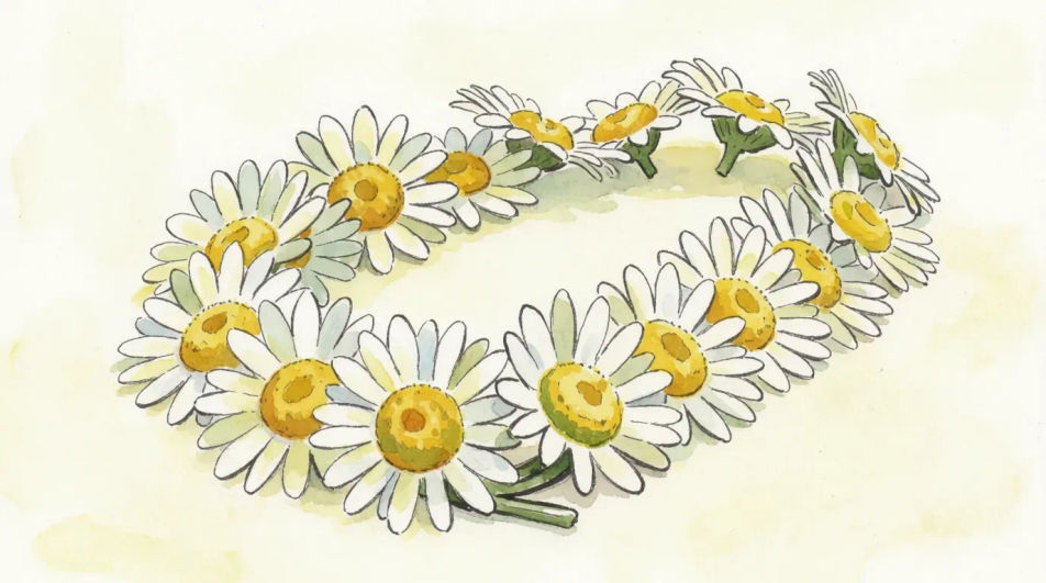Daisy chain on a table