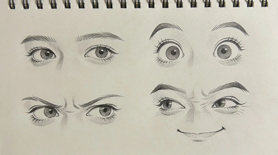 Eye expression study