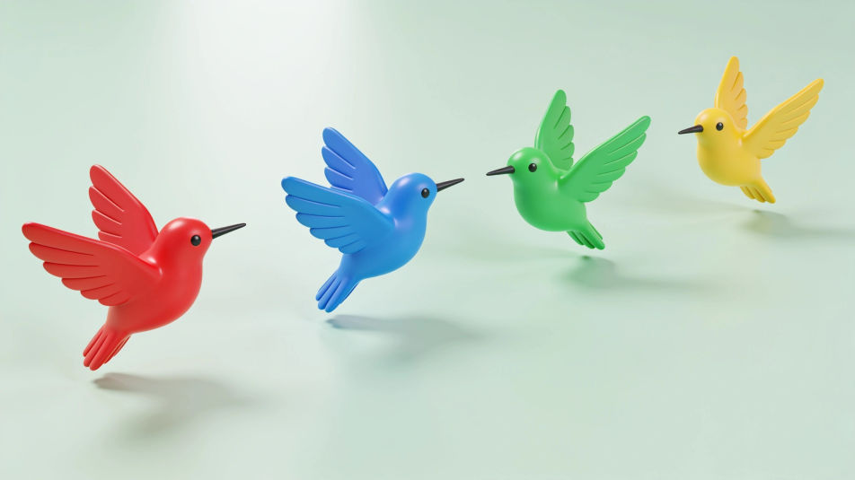 Garden bird row