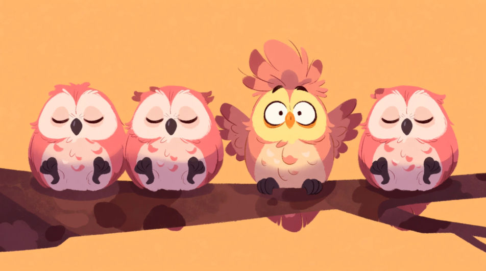 One owl awake