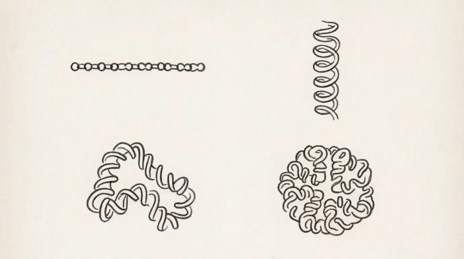 Four structure levels study page