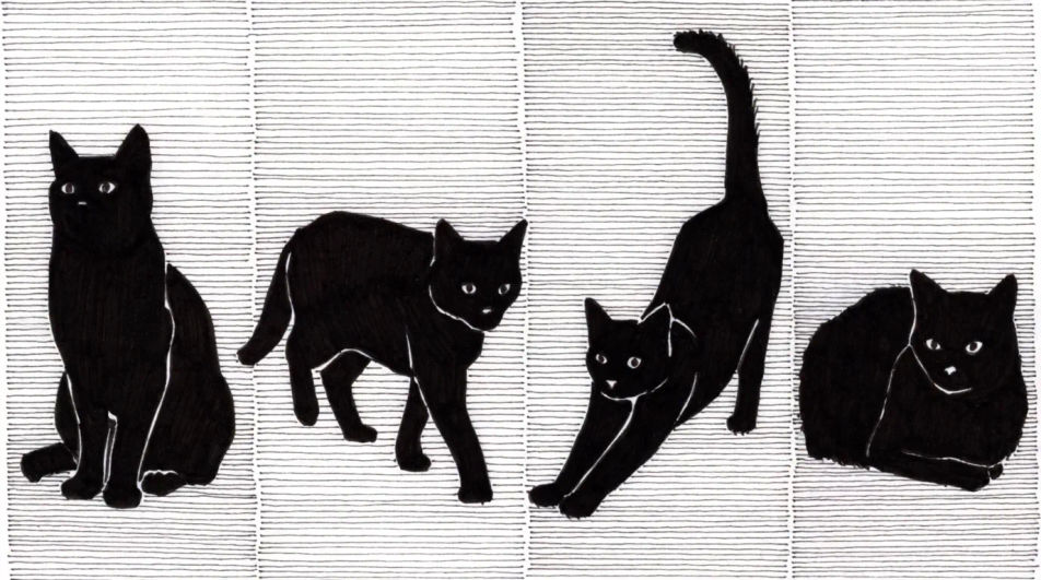 Black cat pose study sheet