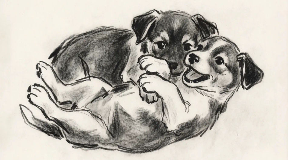 Two puppies playing