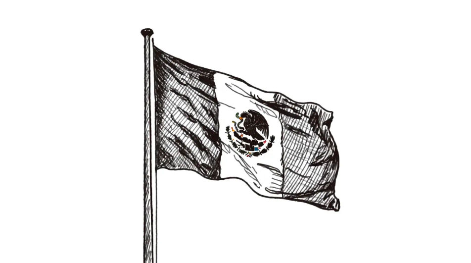 Flag on a rooftop pole
