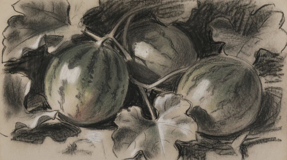 Melon patch in charcoal