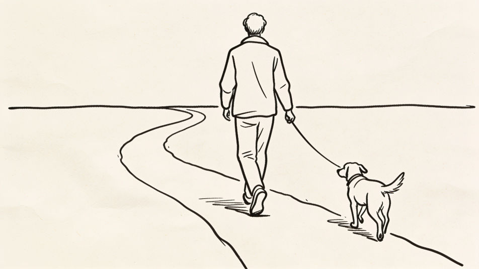 Dog walk line drawing