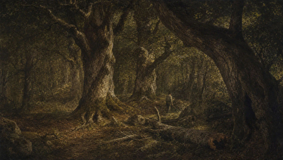 Forest of Fontainebleau interior